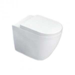 Dichiarazione_wc